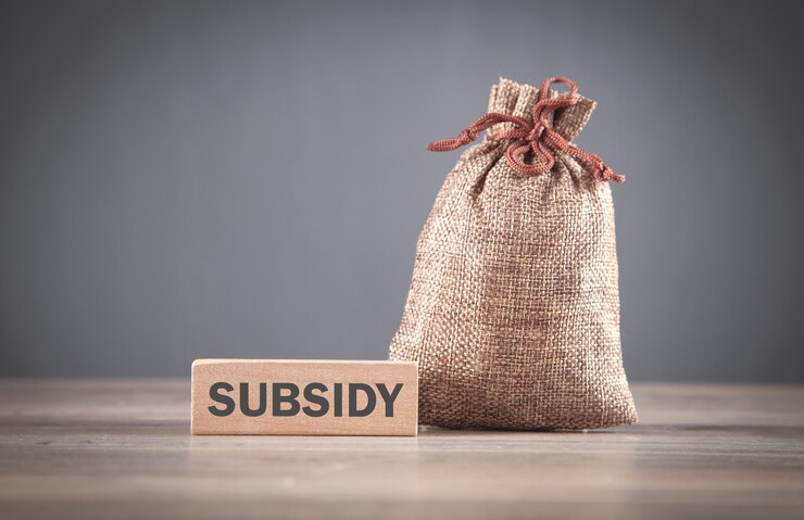 Subsidy Services